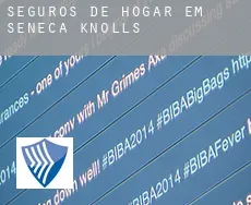 Seguros de hogar em  Seneca Knolls