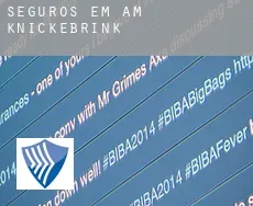 Seguros em  Am Knickebrink