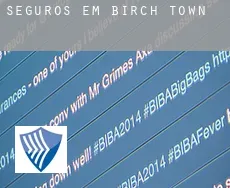 Seguros em  Birch Town