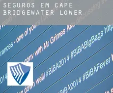 Seguros em  Cape Bridgewater Lower