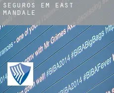 Seguros em  East Mandale