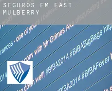 Seguros em  East Mulberry