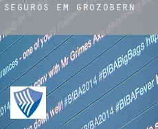 Seguros em  Großzöbern