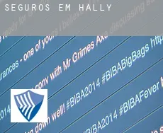 Seguros em  Hally