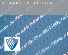 Seguros em  Jornada