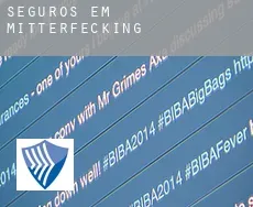 Seguros em  Mitterfecking