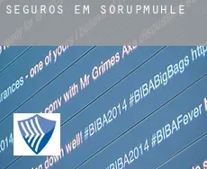 Seguros em  Sörupmühle