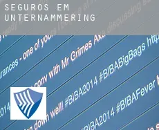 Seguros em  Unternammering