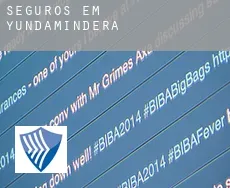 Seguros em  Yundamindera