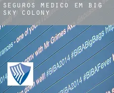 Seguros médico em  Big Sky Colony