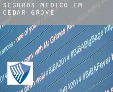 Seguros médico em  Cedar Grove