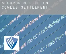 Seguros médico em Cowles Settlement