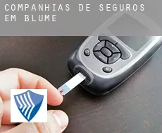 Companhias de seguros em  Blume