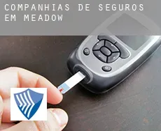 Companhias de seguros em  Meadow