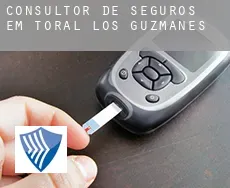 Consultor de seguros em  Toral de los Guzmanes