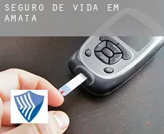 Seguro de vida em  Amata