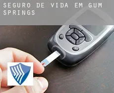 Seguro de vida em  Gum Springs