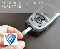 Seguro de vida em  Mapleton
