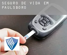 Seguro de vida em Paulsboro