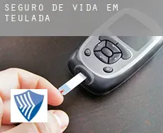 Seguro de vida em  Teulada