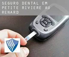 Seguro dental em  Petite-Rivière-au-Renard