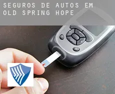 Seguros de autos em  Old Spring Hope