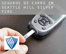 Seguros de carro em  Seattle Hill-Silver Firs