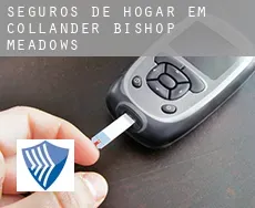Seguros de hogar em  Collander-Bishop Meadows