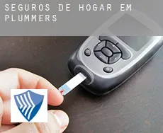 Seguros de hogar em  Plummers