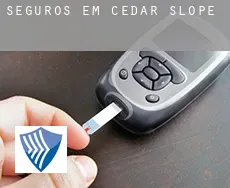 Seguros em  Cedar Slope