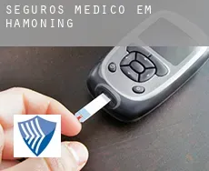 Seguros médico em  Haßmoning