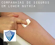 Companhias de seguros em  Lower Nutria