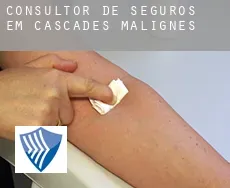 Consultor de seguros em  Cascades-Malignes