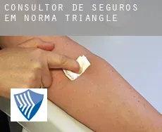 Consultor de seguros em  Norma Triangle