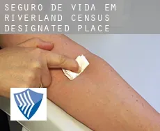 Seguro de vida em  Riverland