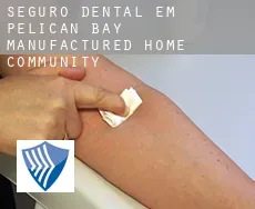 Seguro dental em  Pelican Bay Manufactured Home Community