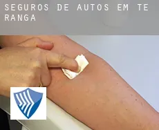 Seguros de autos em  Te Ranga