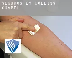 Seguros em  Collins Chapel