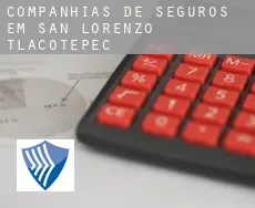 Companhias de seguros em  San Lorenzo Tlacotepec