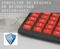 Consultor de seguros em  Bridgetown-Greenbushes