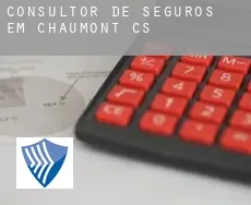 Consultor de seguros em  Chaumont (census area)