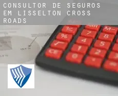 Consultor de seguros em  Lisselton Cross Roads
