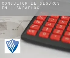 Consultor de seguros em  Llanfaelog