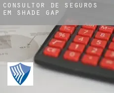 Consultor de seguros em  Shade Gap