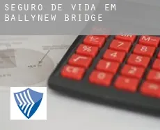 Seguro de vida em  Ballynew Bridge