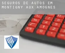 Seguros de autos em  Montigny-aux-Amognes