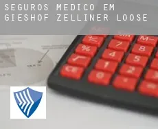 Seguros médico em  Gieshof-Zelliner Loose