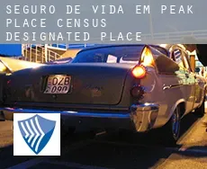 Seguro de vida em  Peak Place
