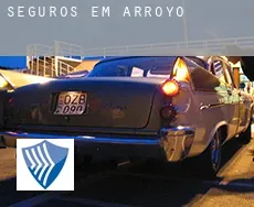 Seguros em  Arroyo