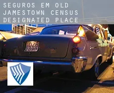 Seguros em  Old Jamestown